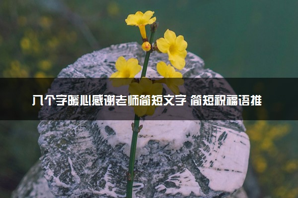 八个字暖心感谢老师简短文字 简短祝福语推荐