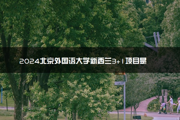 2024北京外国语大学新西兰3+1项目是什么 含金量咋样