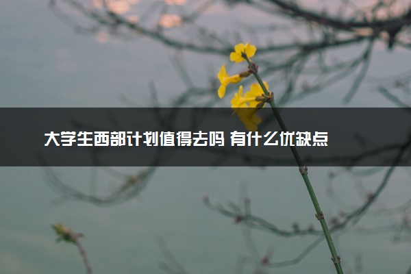 大学生西部计划值得去吗 有什么优缺点