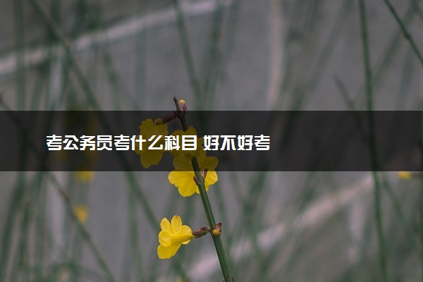 考公务员考什么科目 好不好考