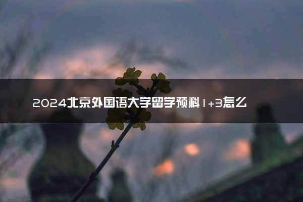 2024北京外国语大学留学预科1+3怎么样 值得读吗