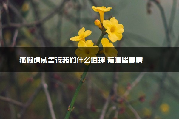 狐假虎威告诉我们什么道理 有哪些寓意