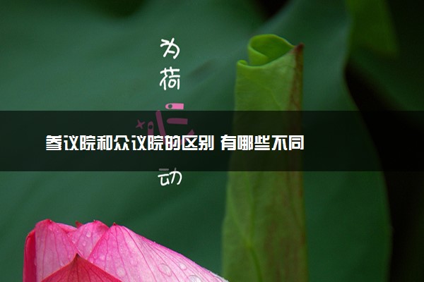 参议院和众议院的区别 有哪些不同