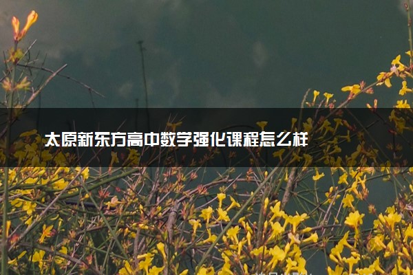 太原新东方高中数学强化课程怎么样