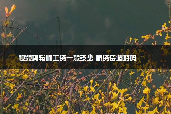 视频剪辑师工资一般多少 薪资待遇好吗