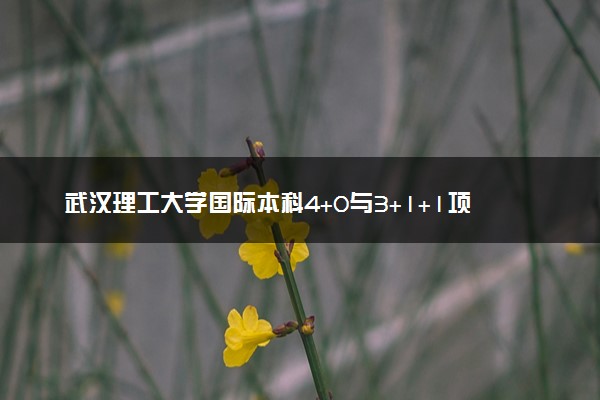 武汉理工大学国际本科4+0与3+1+1项目介绍