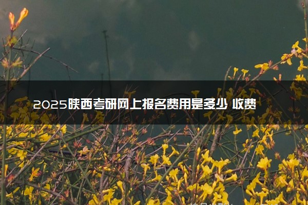 2025陕西考研网上报名费用是多少 收费标准是什么