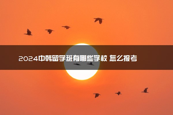 2024中韩留学班有哪些学校 怎么报考