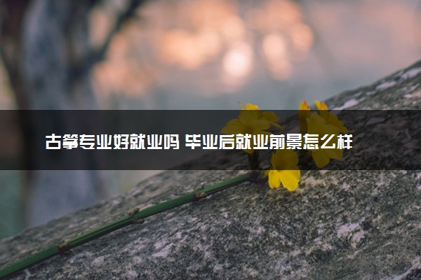 古筝专业好就业吗 毕业后就业前景怎么样