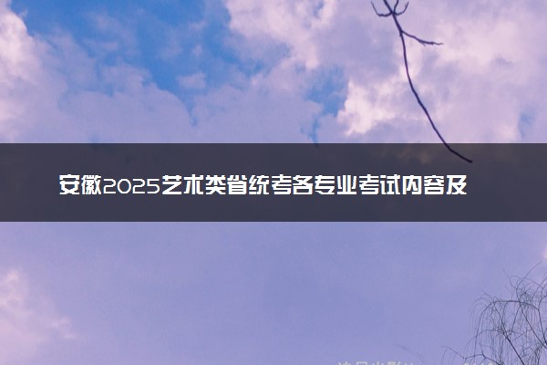 安徽2025艺术类省统考各专业考试内容及分值公布