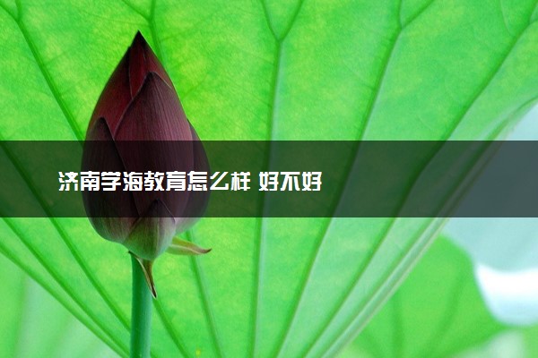 济南学海教育怎么样 好不好