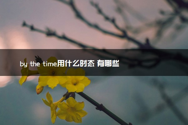 by the time用什么时态 有哪些用法