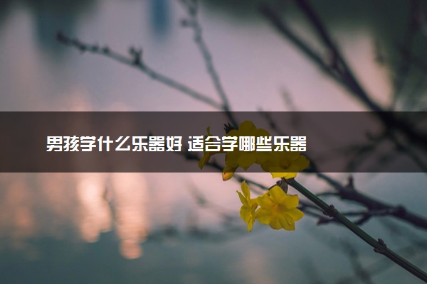 男孩学什么乐器好 适合学哪些乐器