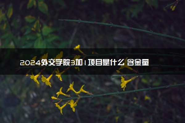 2024外交学院3加1项目是什么 含金量高吗