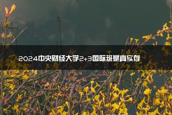 2024中央财经大学2+3国际班是真实存在的吗 含金量咋样