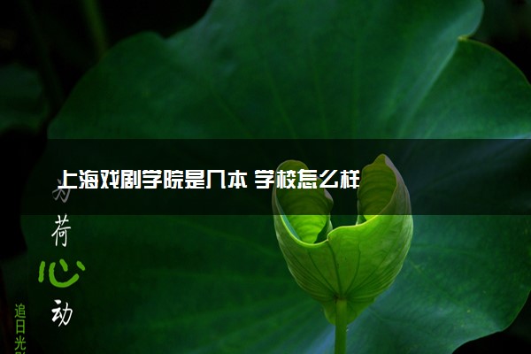 上海戏剧学院是几本 学校怎么样