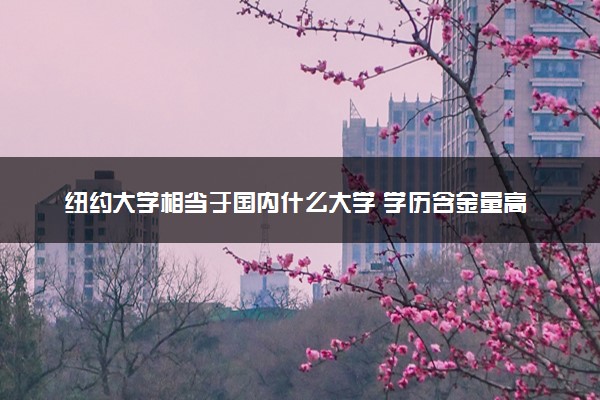 纽约大学相当于国内什么大学 学历含金量高吗