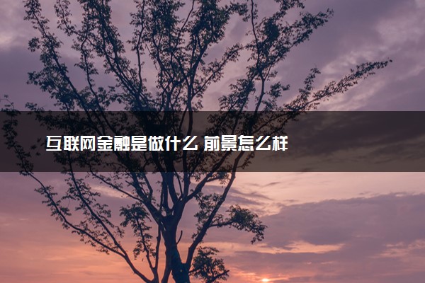 互联网金融是做什么 前景怎么样