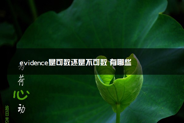 evidence是可数还是不可数 有哪些含义