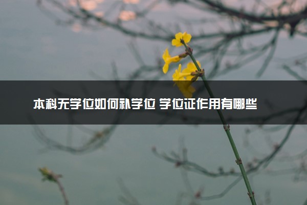 本科无学位如何补学位 学位证作用有哪些