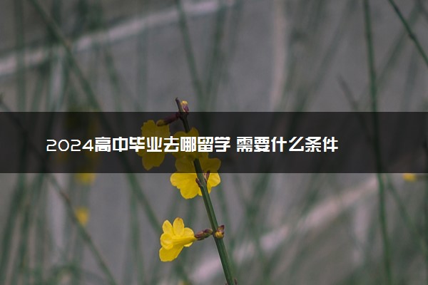 2024高中毕业去哪留学 需要什么条件