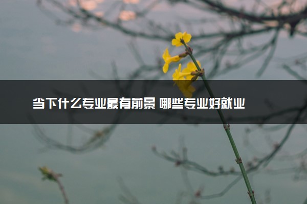 当下什么专业最有前景 哪些专业好就业