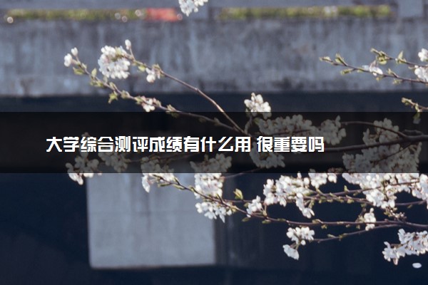 大学综合测评成绩有什么用 很重要吗