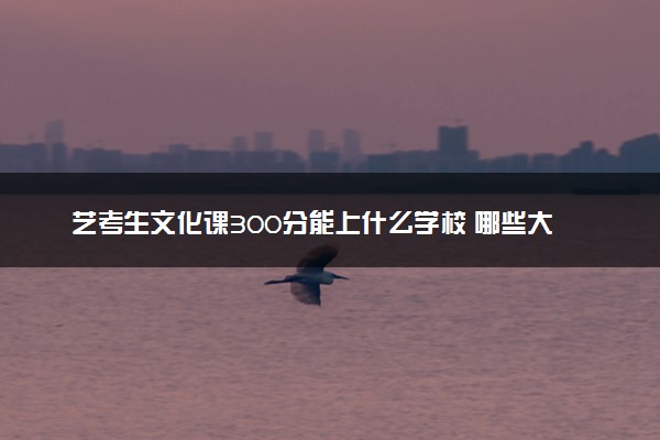 艺考生文化课300分能上什么学校 哪些大学好