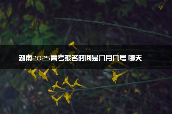 湖南2025高考报名时间是几月几号 哪天截止报名