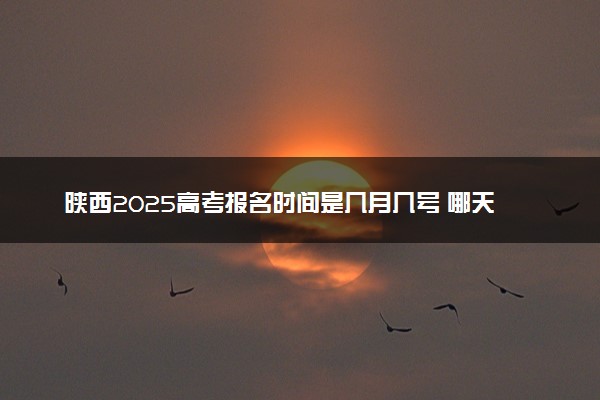 陕西2025高考报名时间是几月几号 哪天截止报名