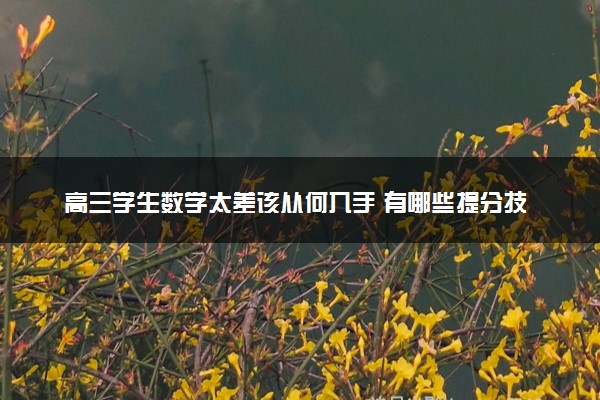 高三学生数学太差该从何入手 有哪些提分技巧