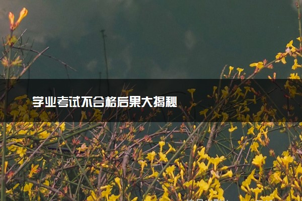 学业考试不合格后果大揭秘