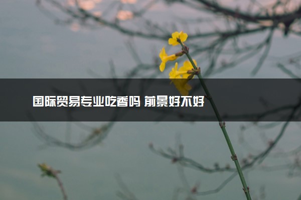 国际贸易专业吃香吗 前景好不好