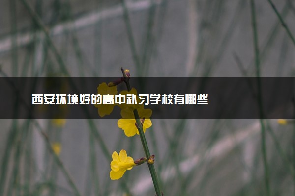 西安环境好的高中补习学校有哪些