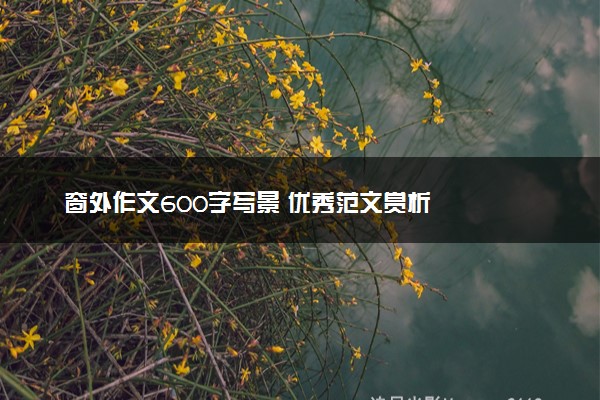 窗外作文600字写景 优秀范文赏析