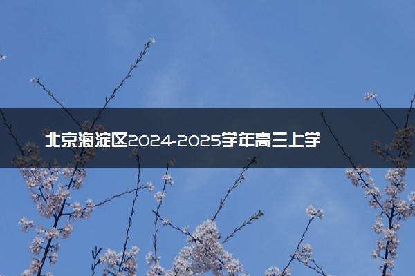 北京海淀区2024-2025学年高三上学期期中试题及答案汇总