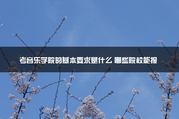 考音乐学院的基本要求是什么 哪些院校能报考