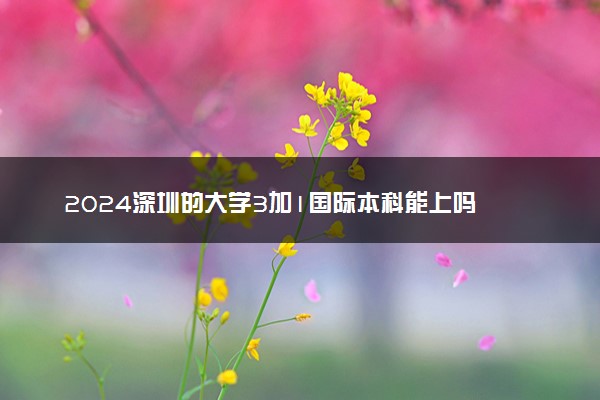 2024深圳的大学3加1国际本科能上吗 含金量咋样