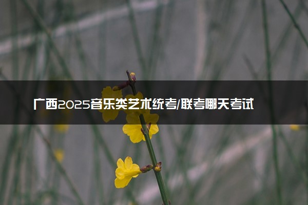 广西2025音乐类艺术统考/联考哪天考试 考完后多久出分