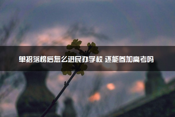 单招落榜后怎么进民办学校 还能参加高考吗