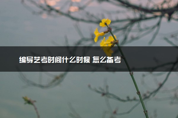 编导艺考时间什么时候 怎么备考