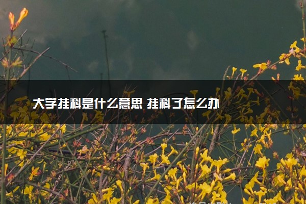 大学挂科是什么意思 挂科了怎么办