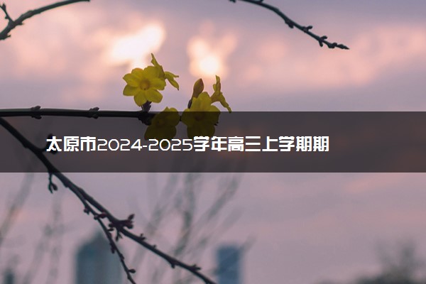 太原市2024-2025学年高三上学期期中测评试题及答案汇总