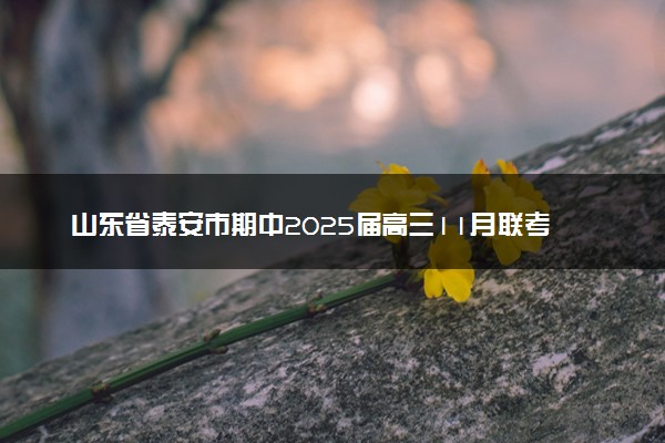 山东省泰安市期中2025届高三11月联考试题及答案汇总