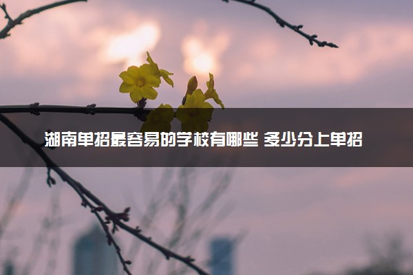 湖南单招最容易的学校有哪些 多少分上单招