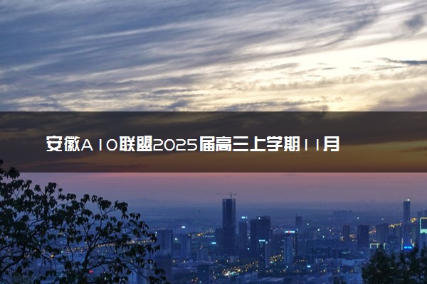 安徽A10联盟2025届高三上学期11月段考试题及答案汇总