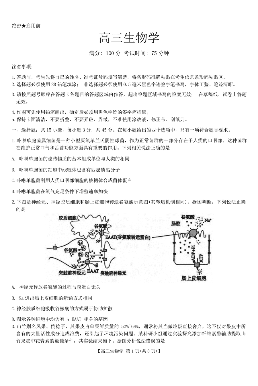 安徽省鼎尖名校联盟2025届高三上11月期中生物试题及答案