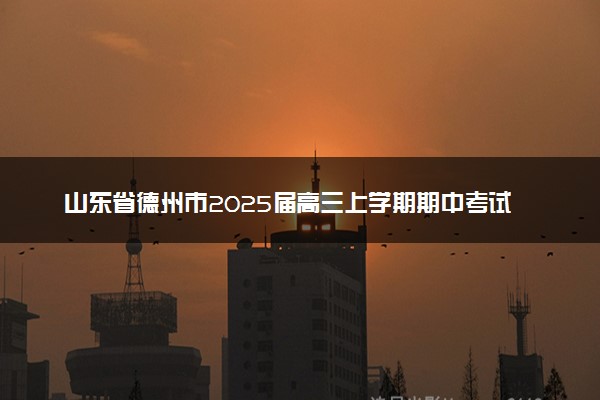 山东省德州市2025届高三上学期期中考试试题及答案汇总