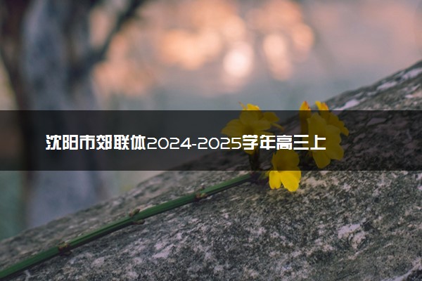 沈阳市郊联体2024-2025学年高三上学期11月期中试题及答案汇总