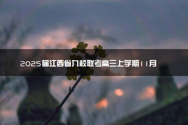 2025届江西省九校联考高三上学期11月期中考试试题及答案汇总